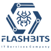 FlashBits IT Services Company