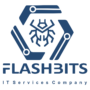 FlashBits IT Services Company